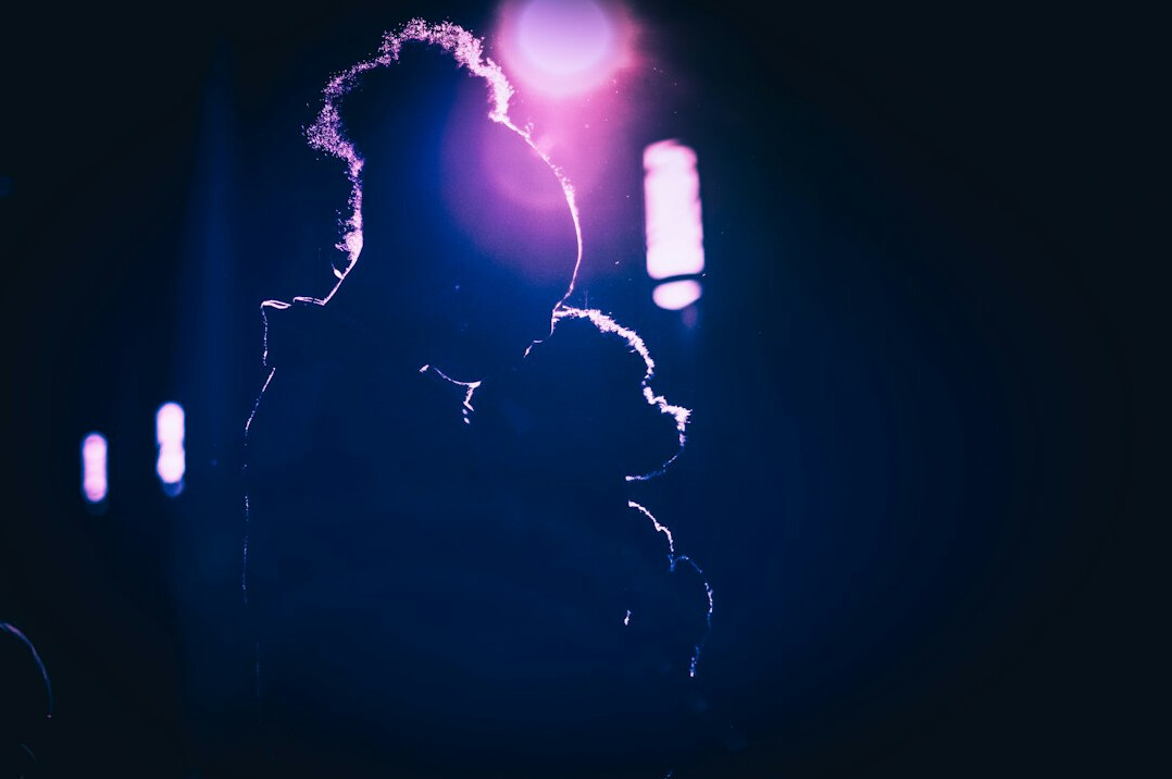 Audience silhouettes watching a concert in a theatre